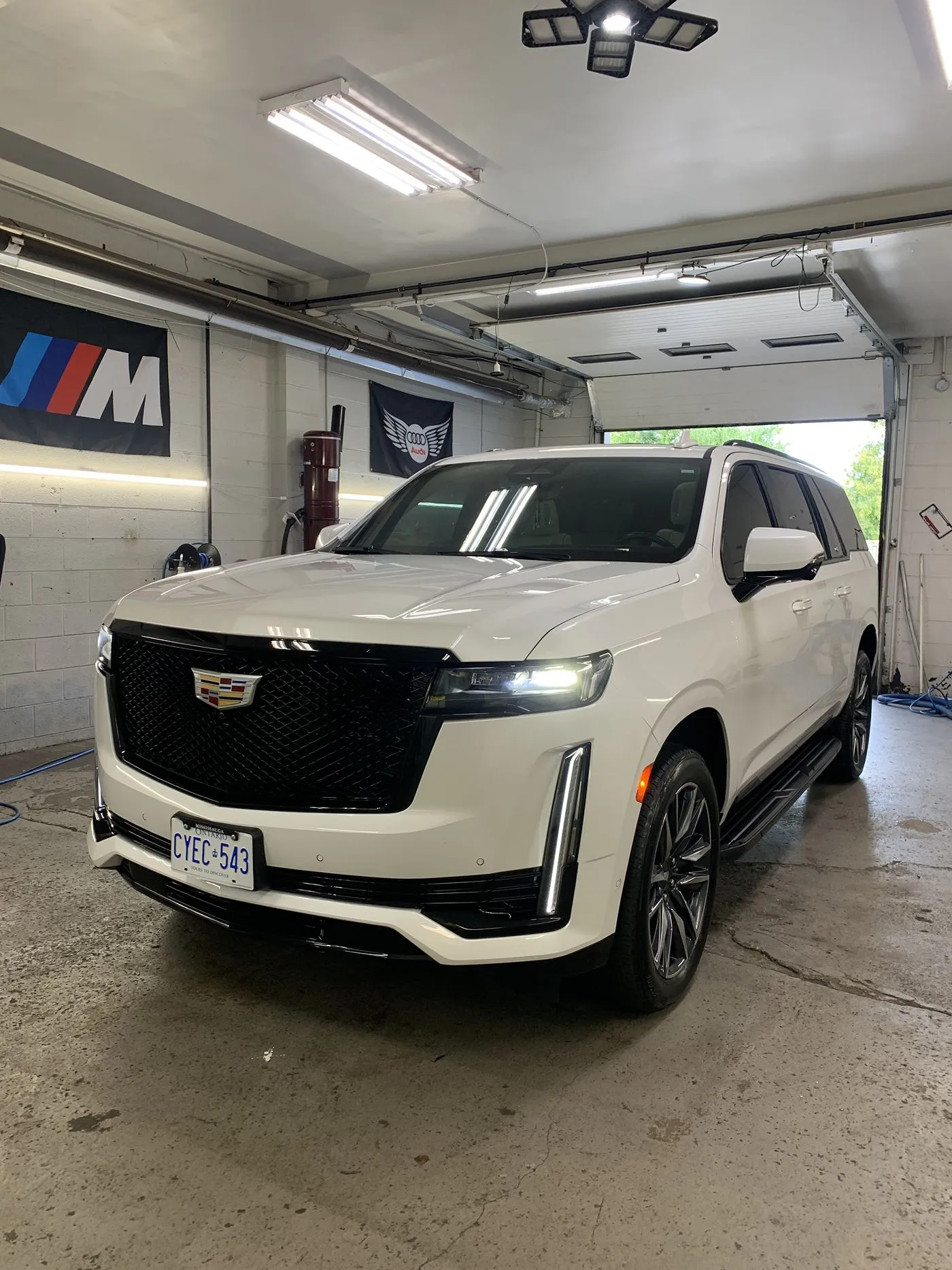 White Cadillac Escalade after a full detail
