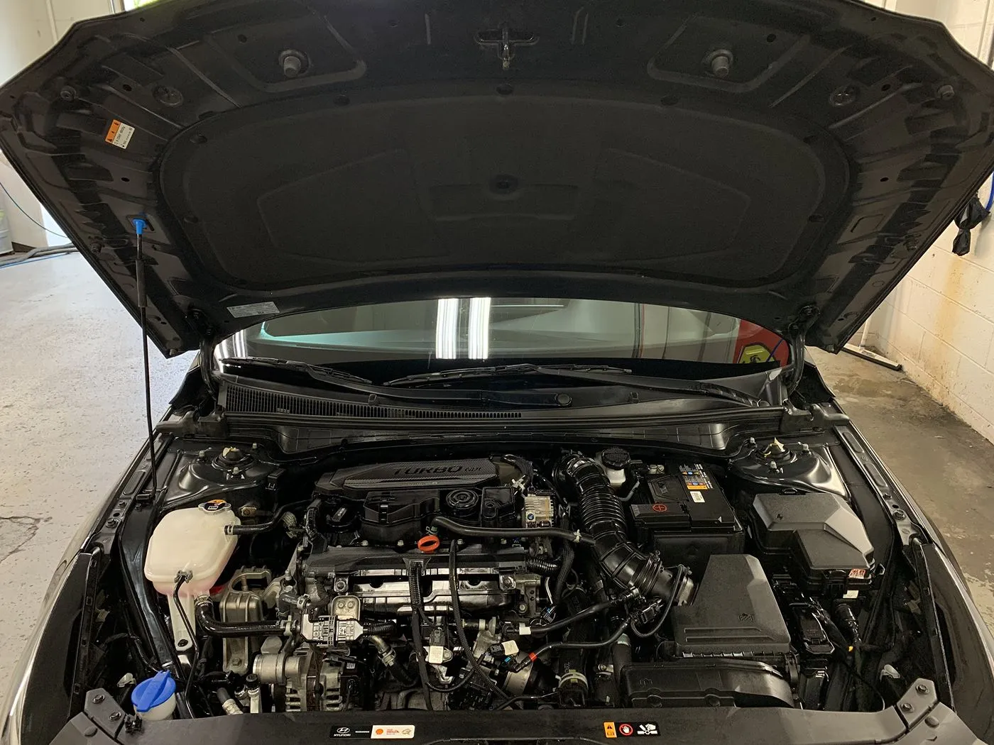 Engine bay after cleaning